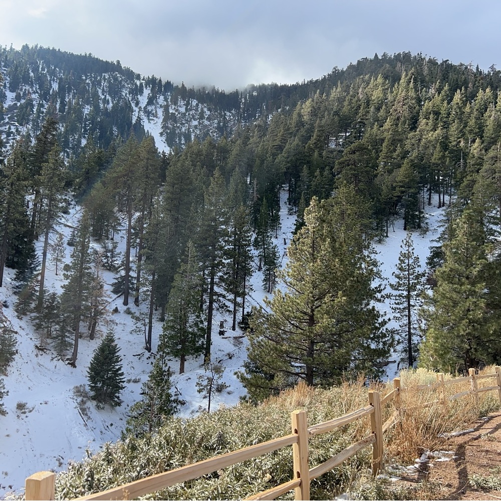 Meet your Posher, Anita